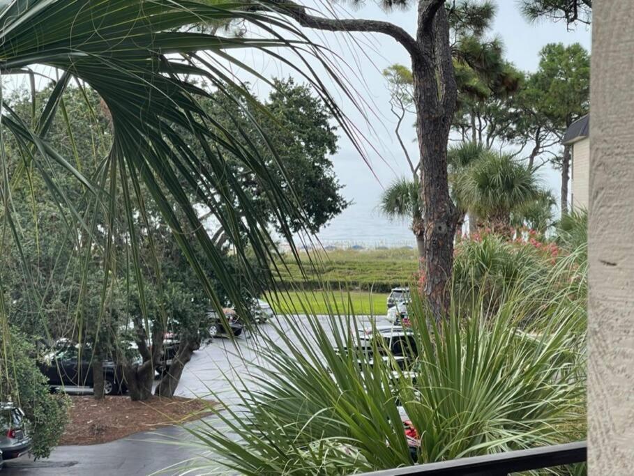 Feelin Tip'Sea-Oceanview Retreat Steps To Beach Hilton Head Island Exteriör bild